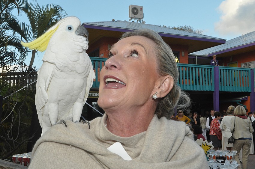 Gunilla Ericsson plays with Kelly the cockatoo