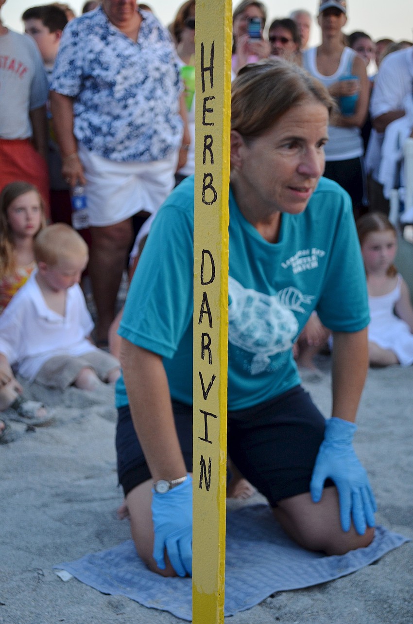 Tammie Averso gets ready to open the nest.