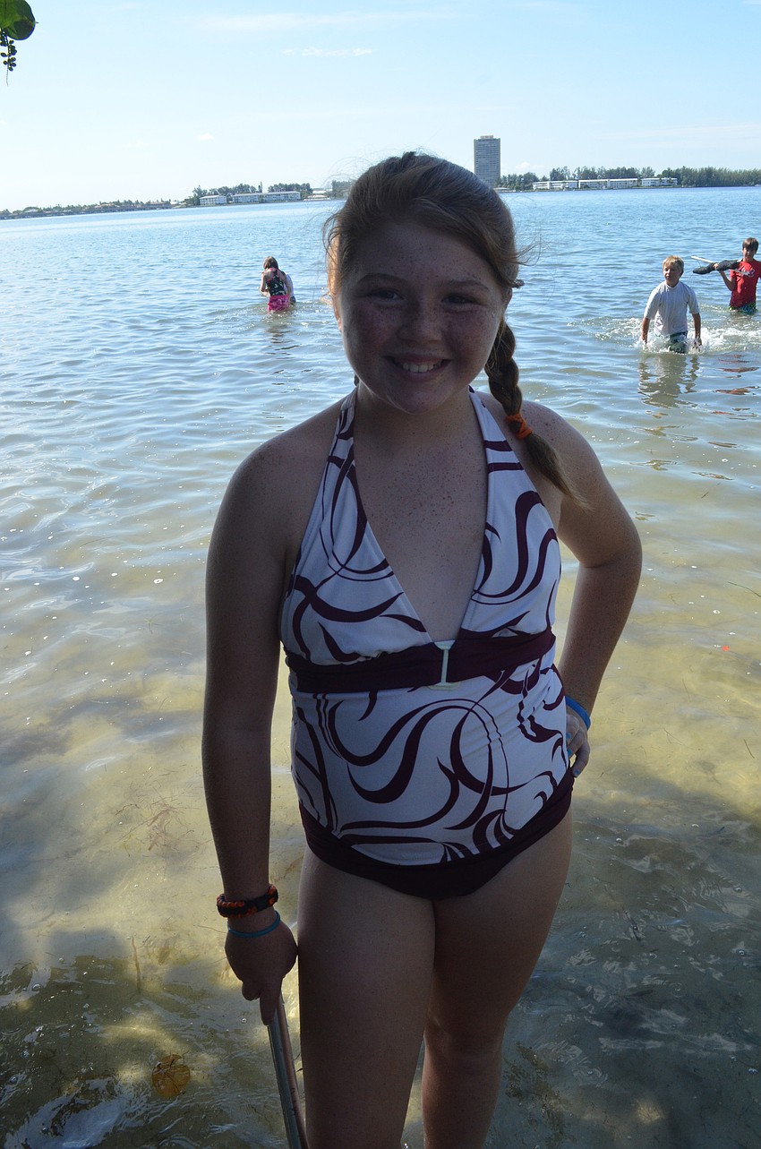 Savannah Johnson, 11, wades in Sarasota Bay in search of sea critters.