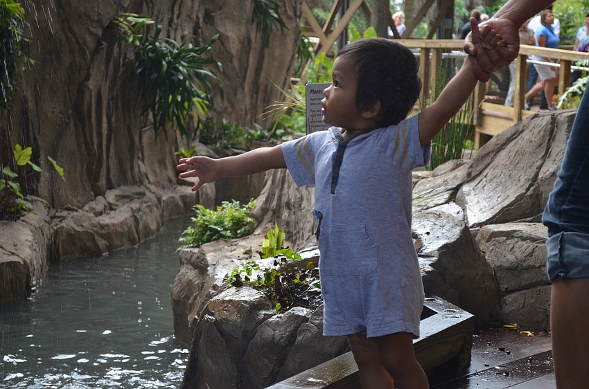 Chase Sugasawa tries to get as close as he can to the waterfall