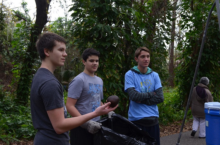 Sam and Ben McKinney and Kyle Dennis show off their biggest air potato.