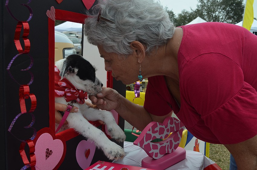 Director of the Sarasota Historical Society, Jane Kirschner-Tuccillo, finds her valentine.