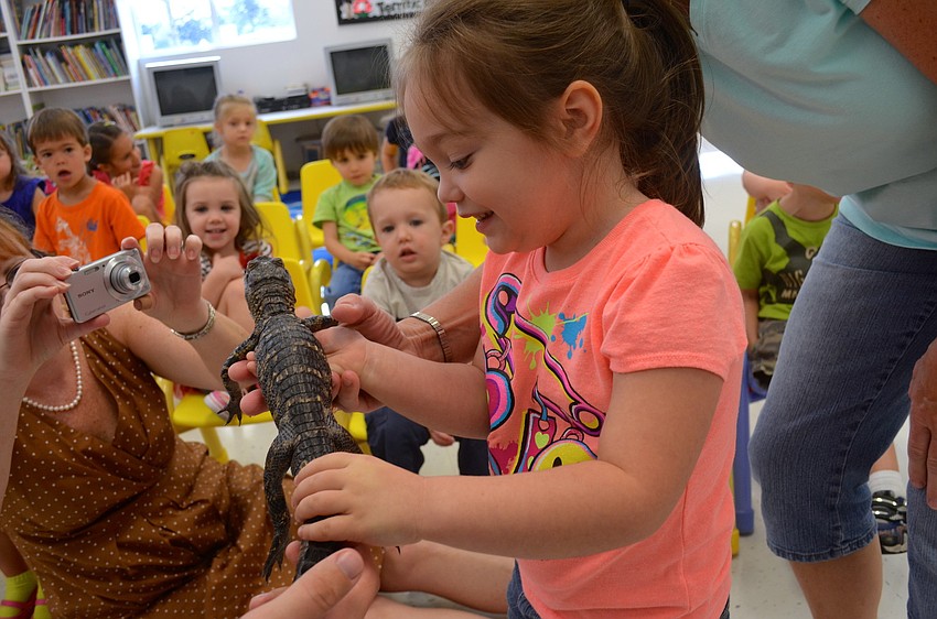 Bella Pudash, 3, is skeptical of the alligator.
