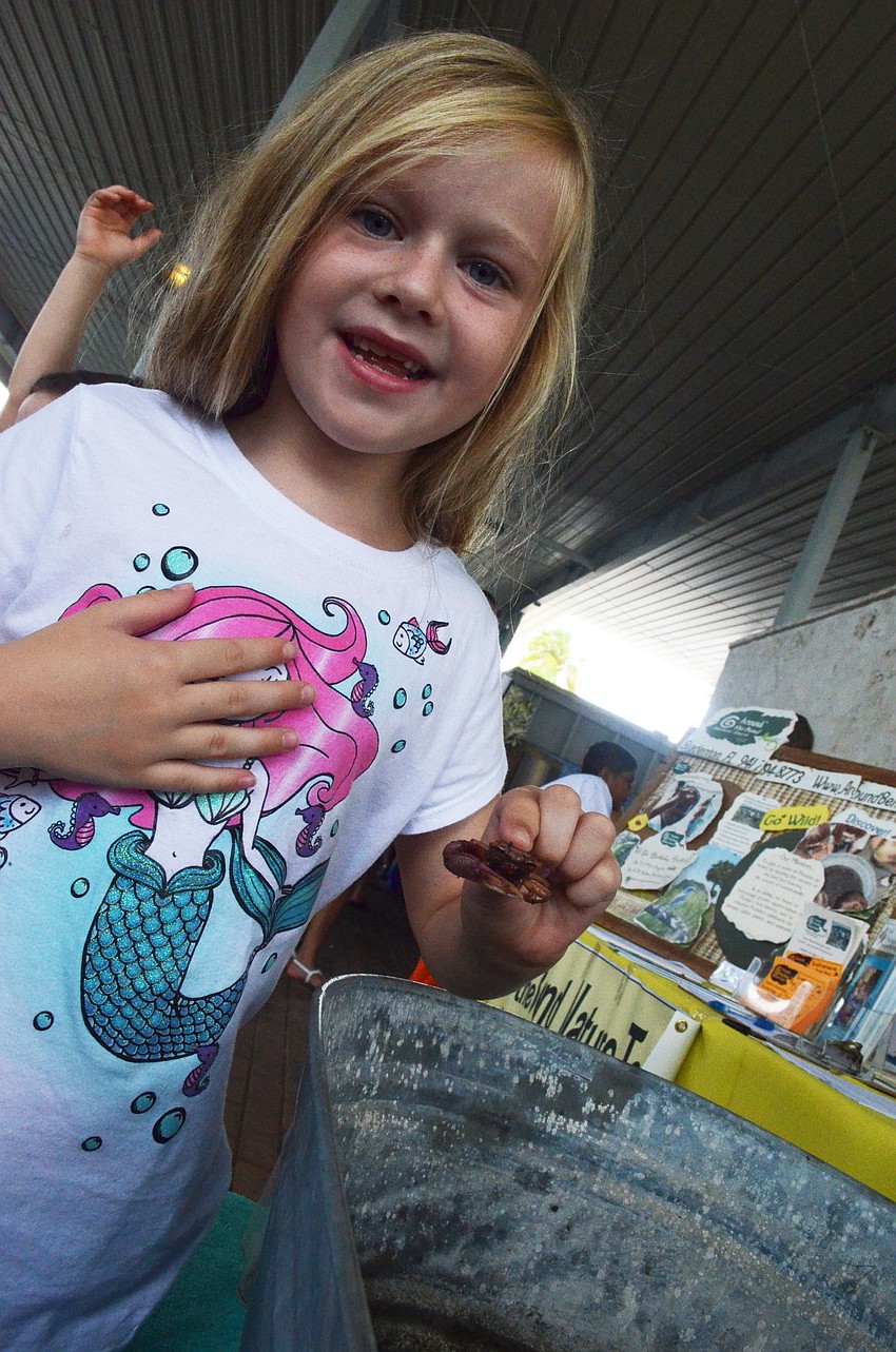 Ella Taylor, 7, plays with a crab.
