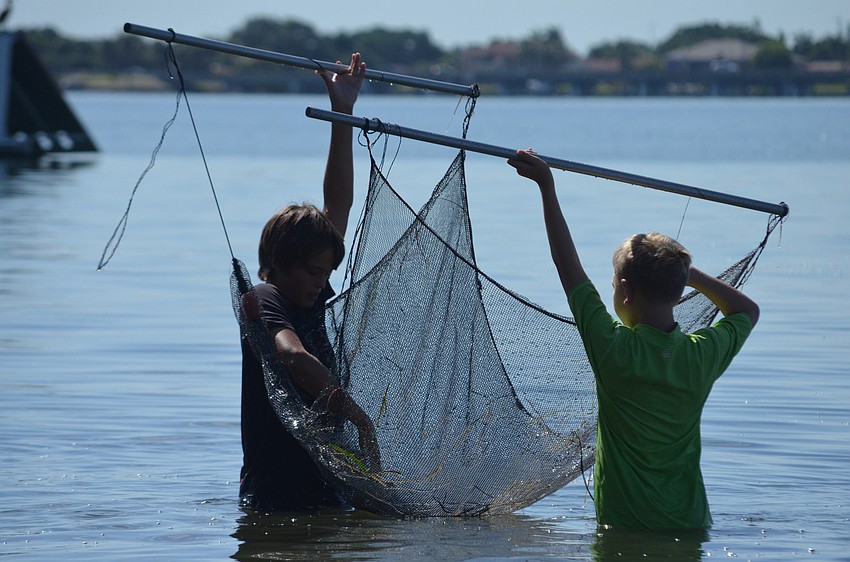 Jake Barrett, 12, and Ben Gansle, 10, lift up the trolling net to examine critters they catch.