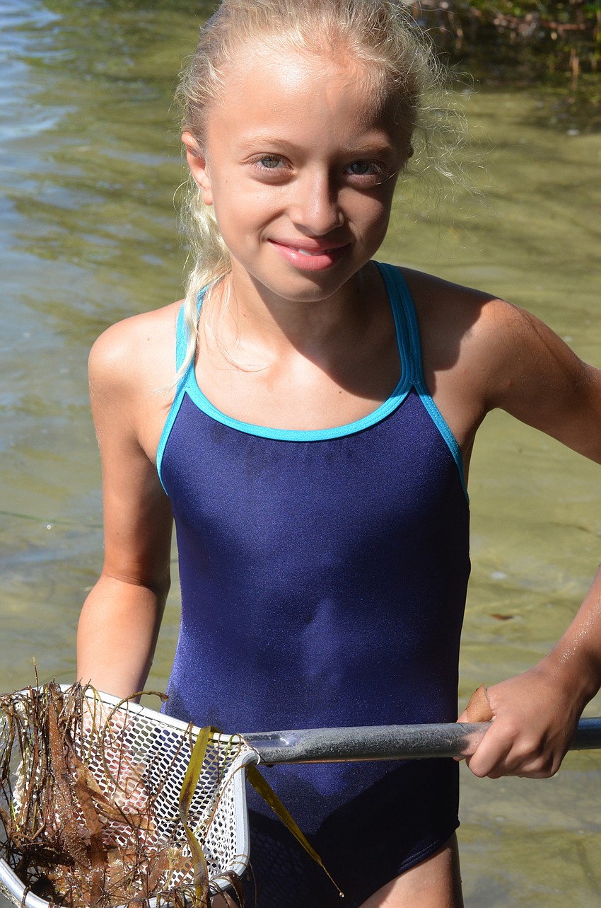 Sofia Sanchez, 10, catches shrimp and a lot of sea grass.