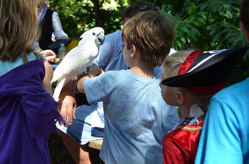 Ethan McBlaine lets Wyatt the cockatoo perch on his arm.