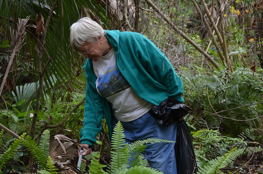 Carol Miller searches through the forest for air potatoes.