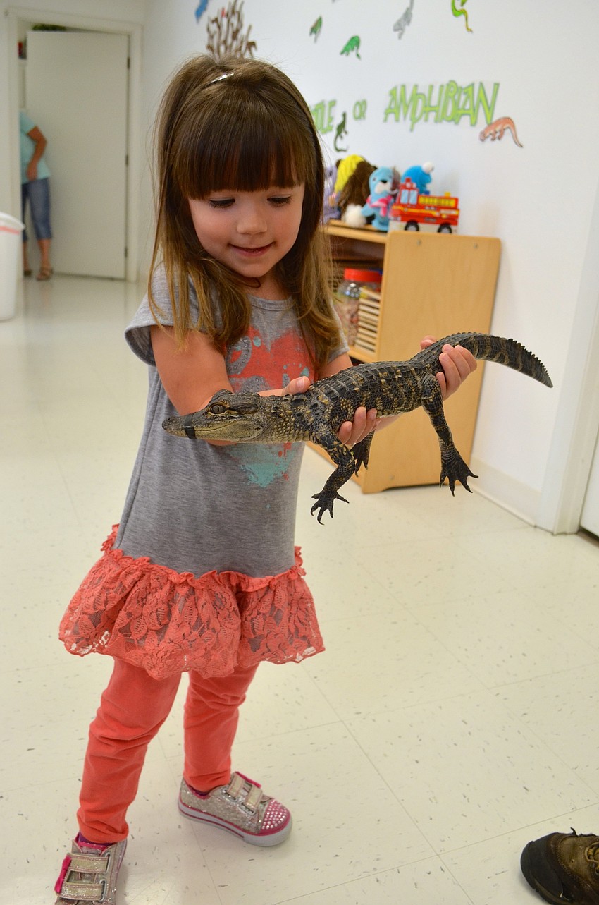 Stella Guido, 3, seems fearless holding the reptile.
