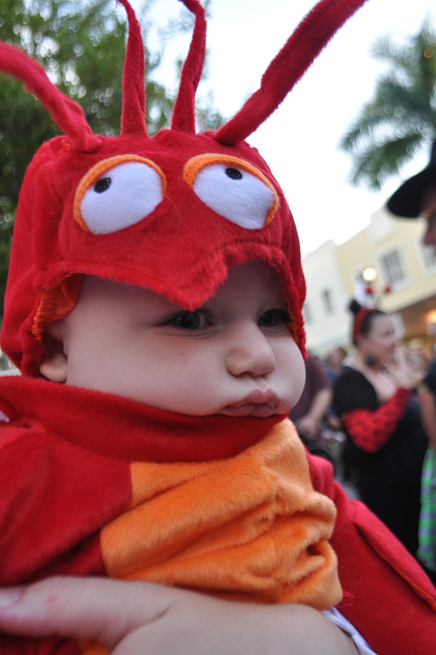 Five-month-old Easton Foltz dressed as a lobster. His mom, Katie, was a chef.