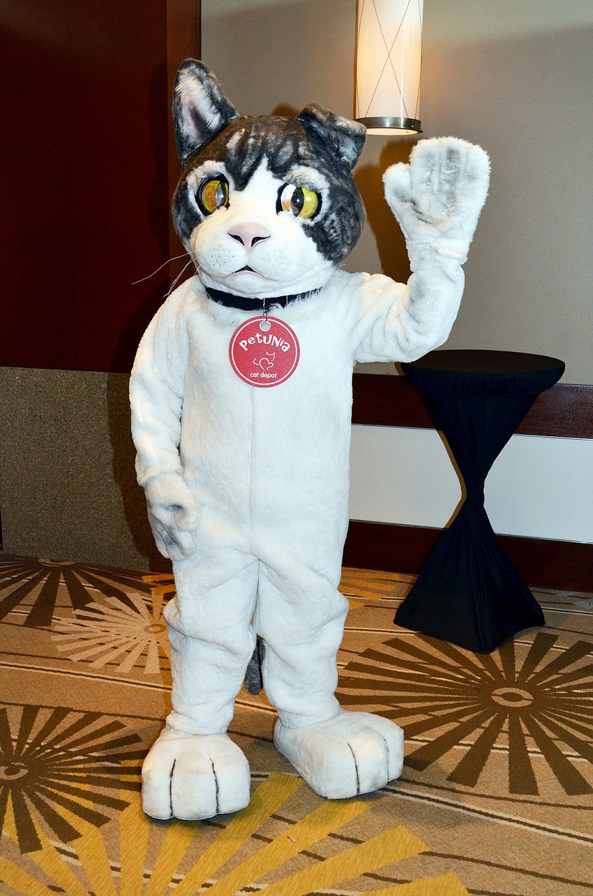 Cat Depot cats were featured in the fashion show at Catwalk on the Boulevard.