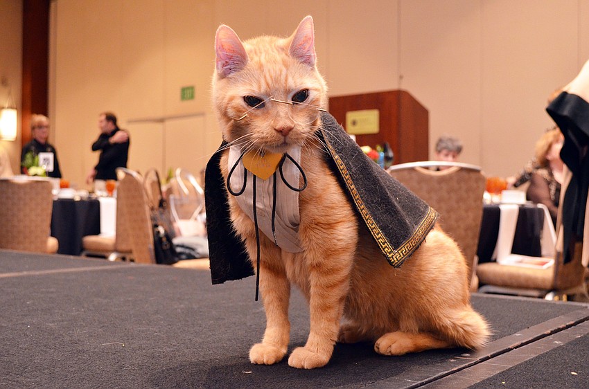 Barb Kerwin, Susan Landau and Jean Claire