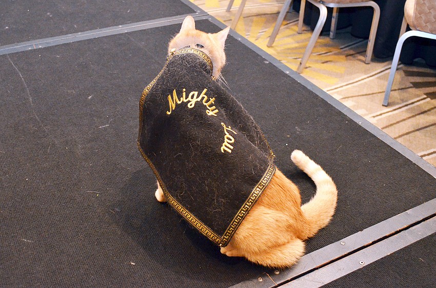Barb Kerwin, Susan Landau and Jean Claire