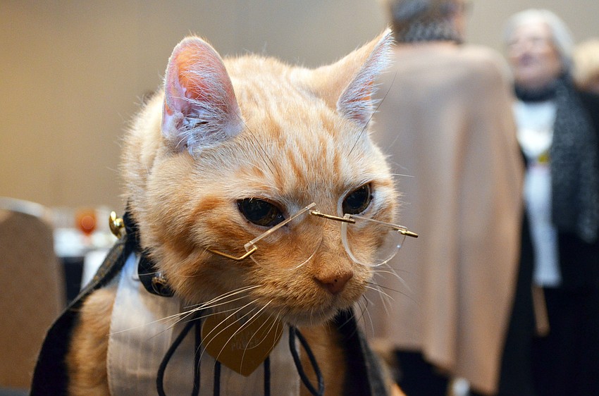 Mighty Lou at Catwalk on the Boulevard