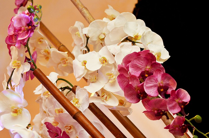 Sarasota Memorial Healthcare Foundation hosted the 2015 Corinthian Gala â€” A Night of a thousand Cranes on Saturday, Jan. 24, at The Ritz-Carlton, Sarasota.