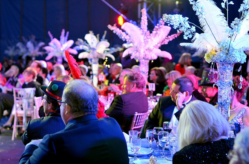 Circus performers captivate the audience at the 2015 Circus Arts Gala.