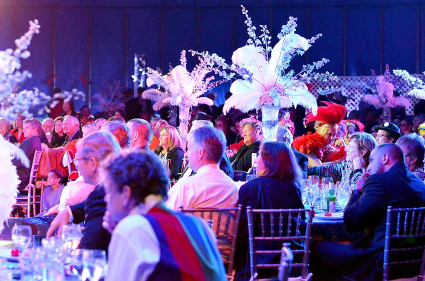 Circus performers captivate the audience at the 2015 Circus Arts Gala.