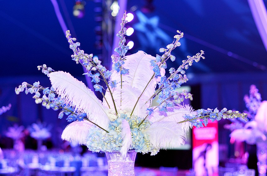 The Circus Arts Conservatory Sarasota hosted its 2015 Circus Arts Gala honoring Tana Sandefur on Friday, Jan. 30, Under the Big Top at Nathan Benderson Park.