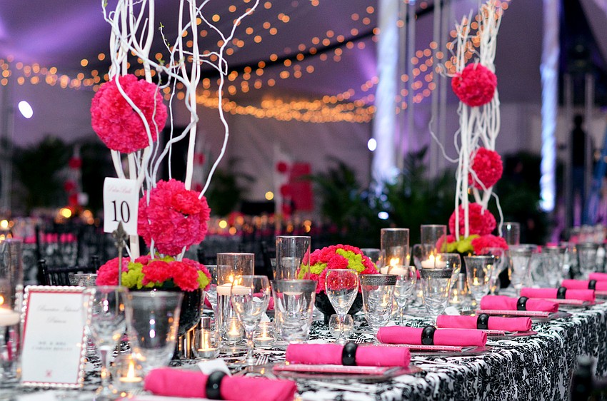 The Palm Ball â€˜A Passion for Conservationâ€™ was held Saturday, Feb. 7, at Bay Preserve.