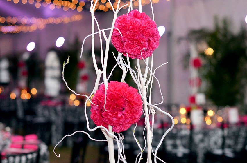 The Palm Ball â€˜A Passion for Conservationâ€™ was held Saturday, Feb. 7, at Bay Preserve.