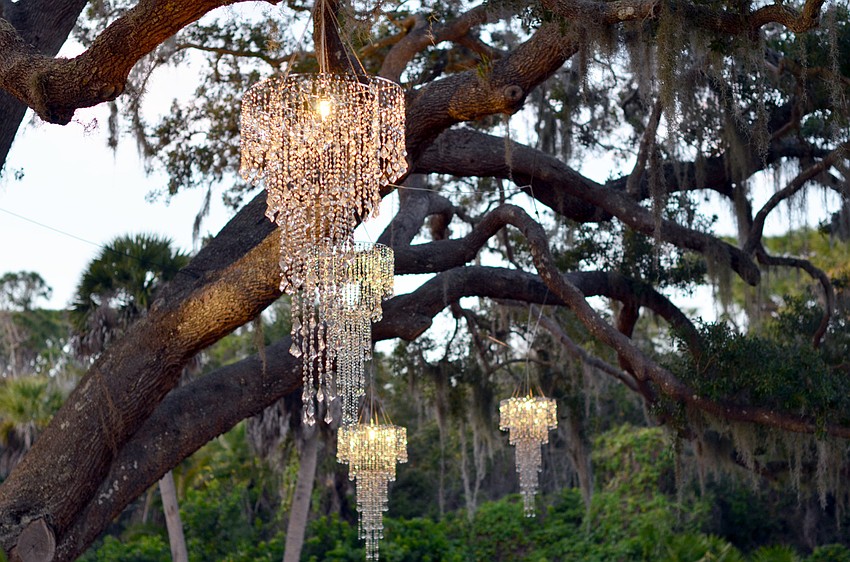 Chandeliers were hung from the trees at Bay Preserve for The Palm Ball â€˜A Passion for Conservation.â€™