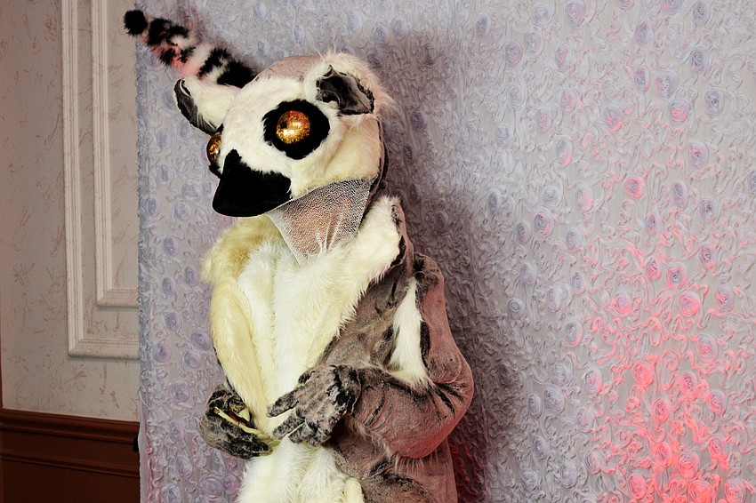 Lemurs roam the ballroom during An Evening of Lemur Love at Michaelâ€™s On East.