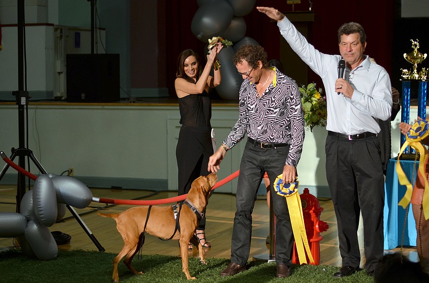 Among the categories in the Top Dog competition were Best Dressed, Best Hair, Best Catch and Fetch, Best Kiss and Funniest Dog Trick.
