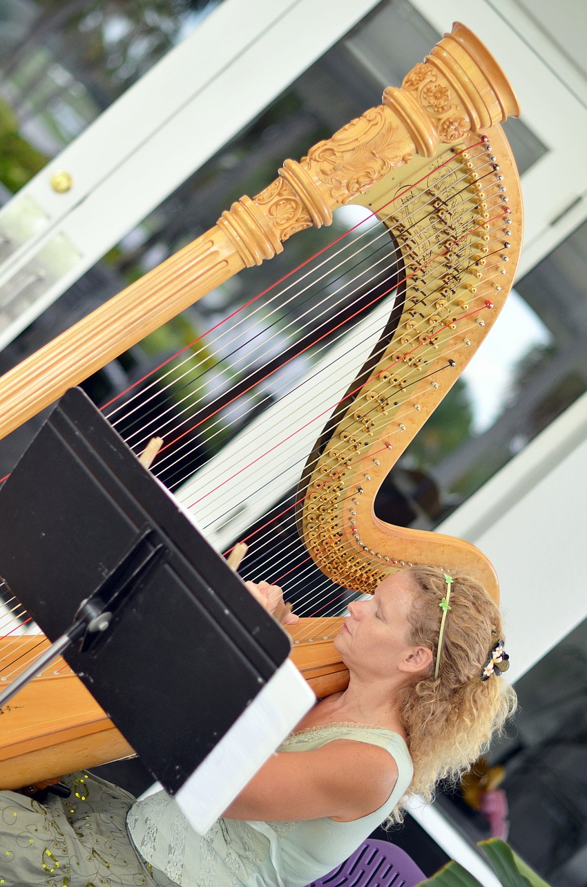 A harpist played during cocktail hour at The Wit and Wisdom of Aging Sponsor Party.