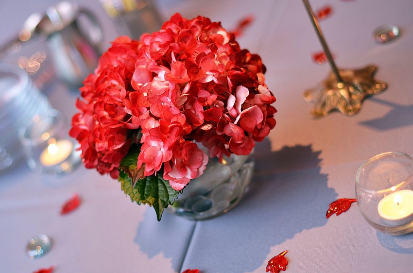 Mental Health Community Centerâ€™s hosted its third annual The Show of Shows Wednesday, Oct. 22, at Michaelâ€™s On East.