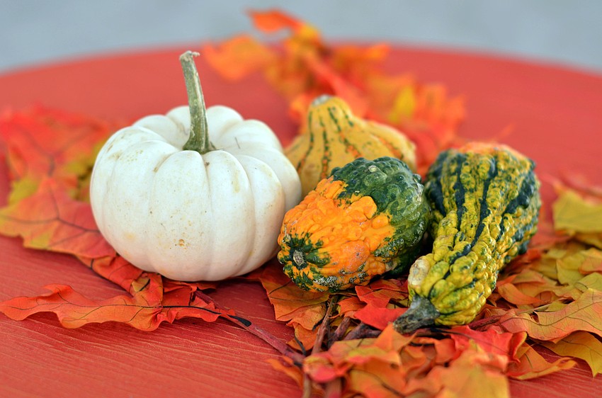 The Resort at Longboat Key Club hosted Bacchus on the Beach Friday, Oct. 31.