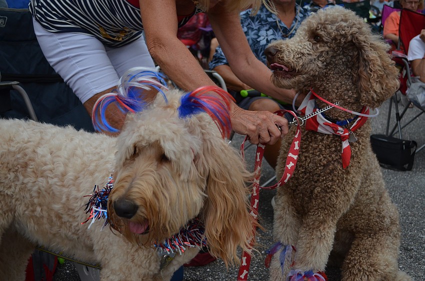 Patriotic pooches were out in full force at Music on Main in Lakewood Ranch.