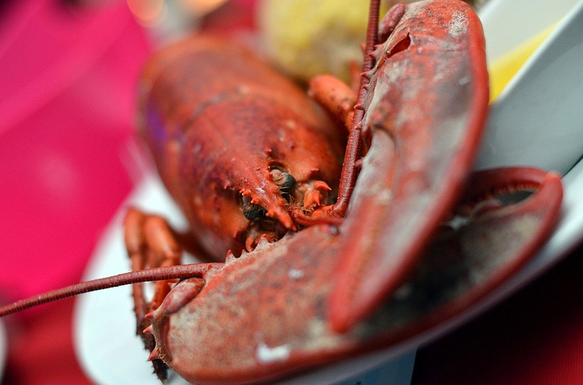 Guests enjoyed lobster at the second annual Rockin' Lobster event at Sharky's on the Pier Saturday, Nov. 1.