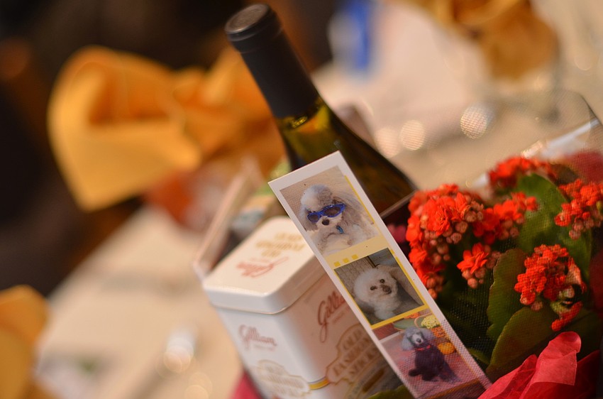 The Florida Poodle Rescue hosted its annual event â€˜Puttinâ€™ on the Poodleâ€™ Wednesday, Nov. 5,at Michaelâ€™s On East.