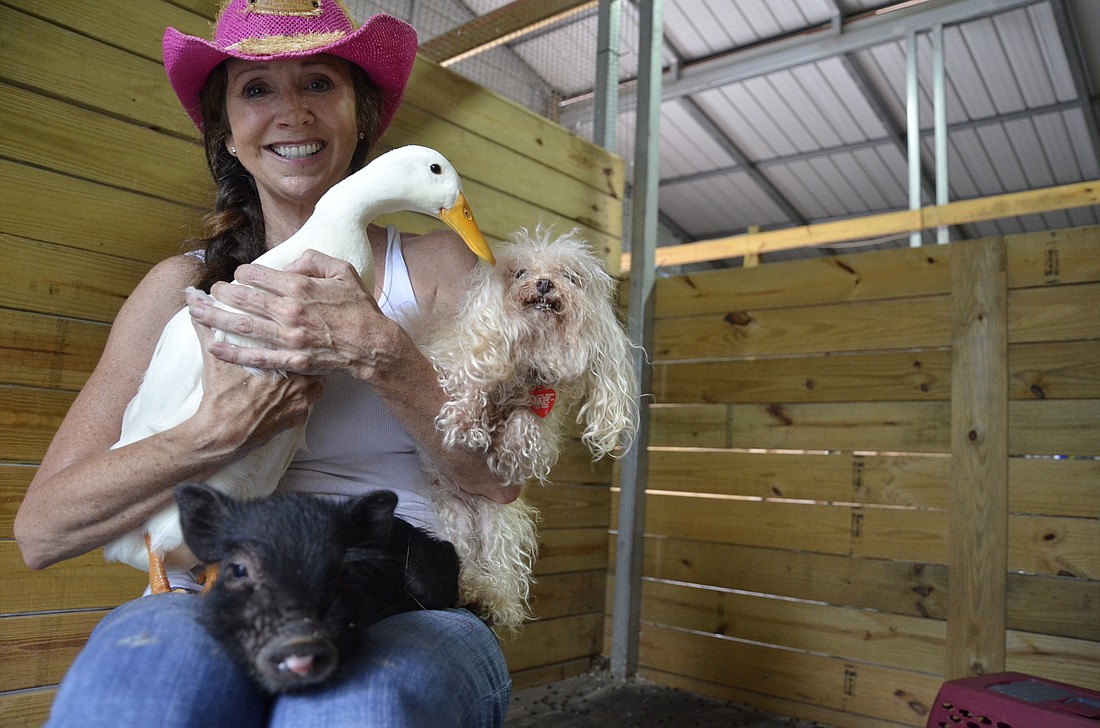 Heather Perry has lived in Lakewood Ranch since 2004. She moved to Florida from Washington, D.C. She said sheâ€™s always loved animals and loved keeping them close to her.