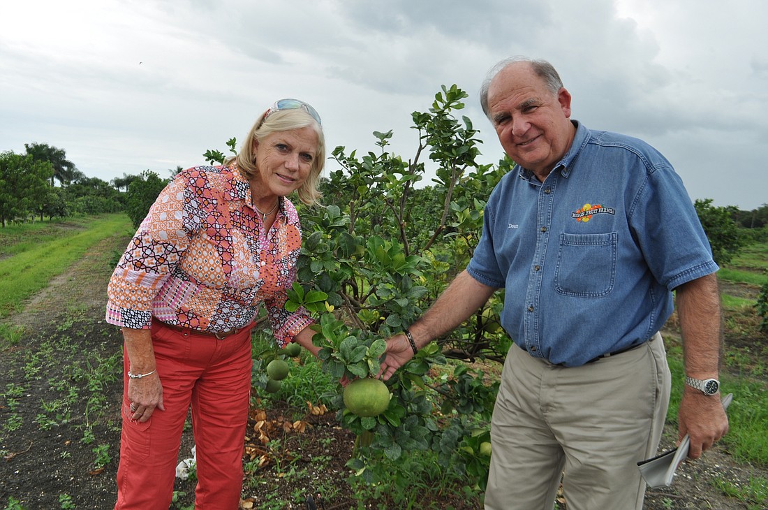 Mixon Fruit Farms owners Janet and Dean Mixon will be in Washington, D.C. this week lobbying for tighter regulations on agricultural imports.