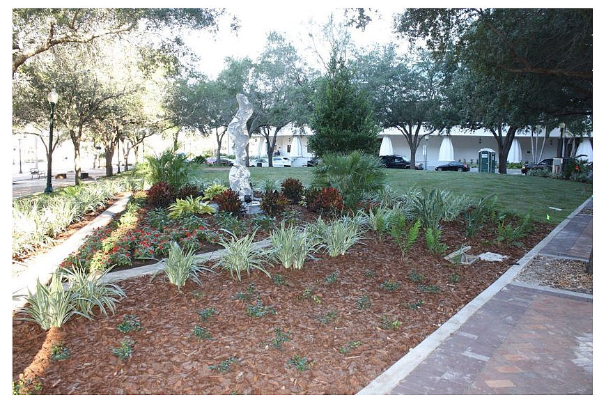 The city will consider replacing some grass in shaded areas of the park with other plants, such as ferns.