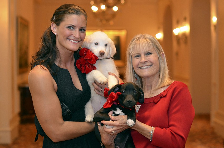 Rebecca Kochelek holding Dasher, a great Pyrenees mix and Vickie Grosvenor holding Teddy, a hound mix available for adoption at the 22nd annual Hot Dogs and Cool Cats â€˜Laugh Your Paws Offâ€™ Gala.