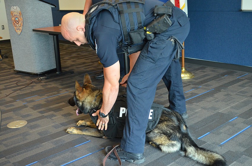 Officer Jake Nelson puts on the bulletproof vest on his partner Bronson.