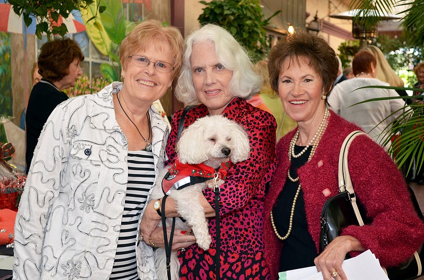 Suzie Mayer, Karin Murphy holding Mozart, a Bichon Frise, and Zona Starks