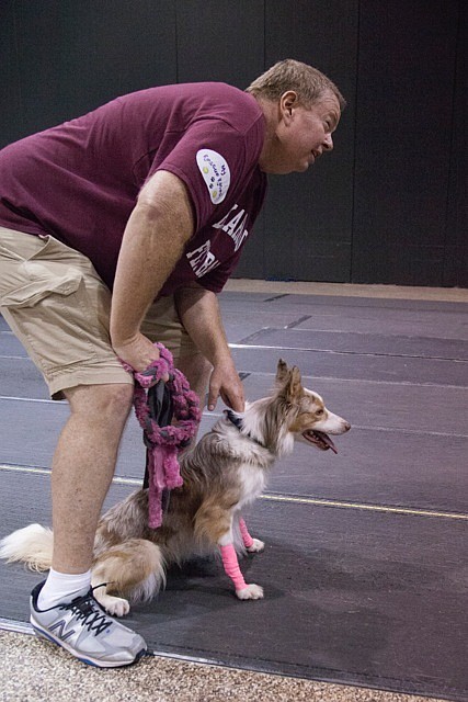 Scott Earl from team “Barkaholics” prepares for Stella to compete in the flyable tournament. Photo courtesy of Mindy Towns.