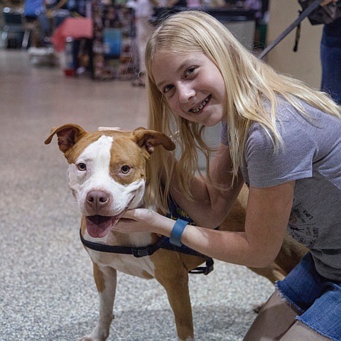 Ansley White shows off Clancy, one of the dogs available for adoption from the Manatee County Animal Services. Photo courtesy of Mindy Towns.