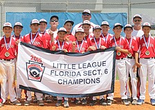 The Sarasota American 11-and 12-year-old All-Stars earned a berth in the Florida State Tournament after winning the Section 6 title.
