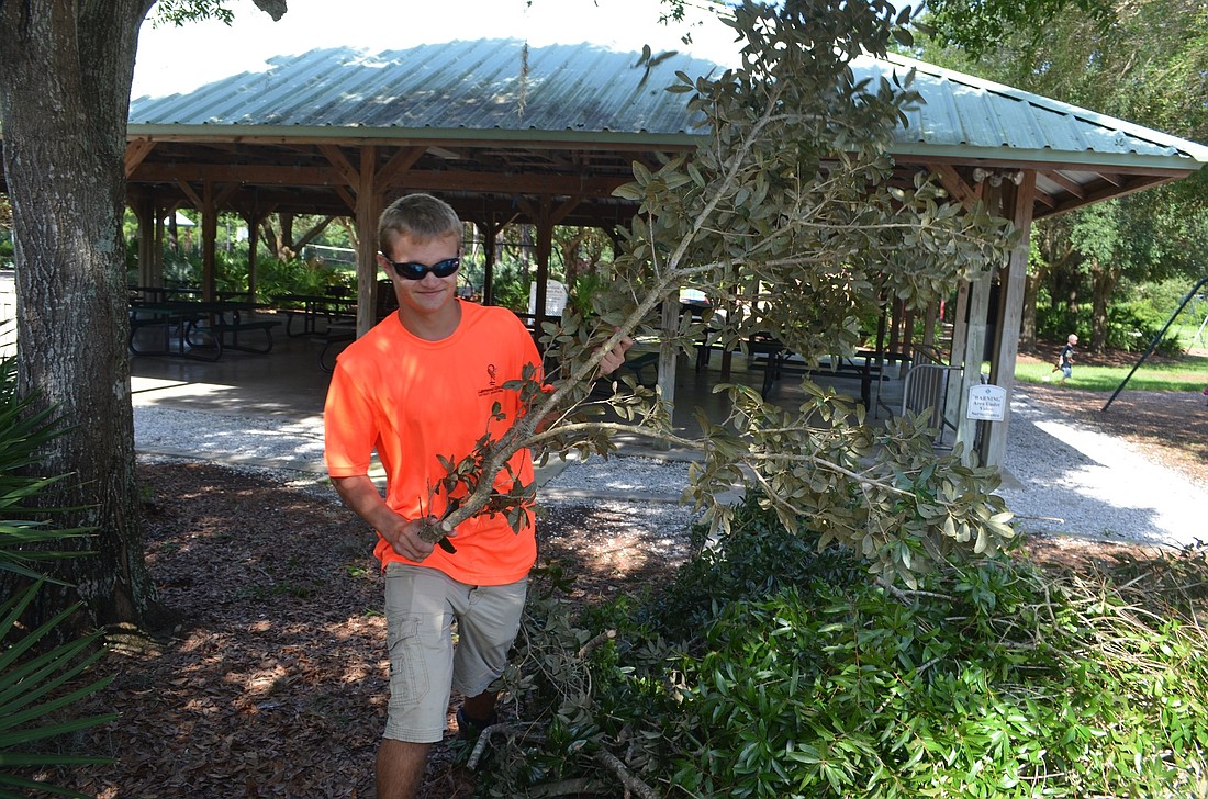 Christian Luh, 20, clears chopped trees from the pavilion area in Summerfield Park.
