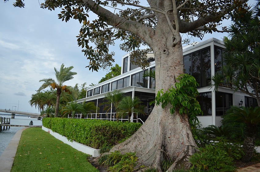 The back yard of the Bobby Vinton House.