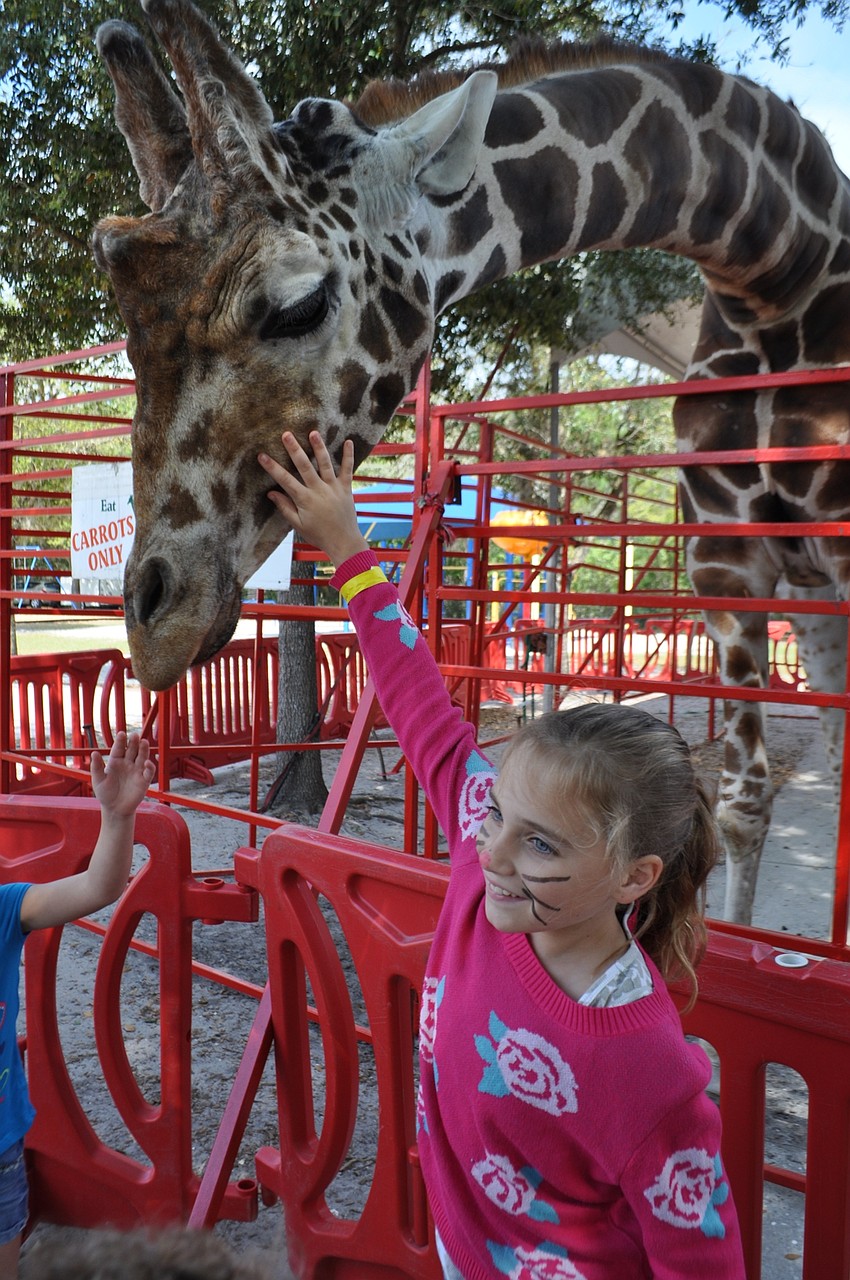 Morgan Fellows feeds Twiggs some special food.