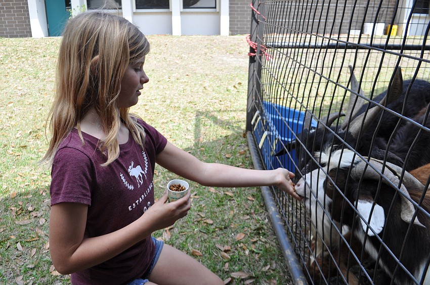 Katie Onstine says it’s fun to feed the goats.