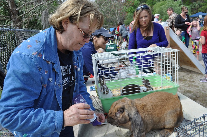 Marsha Semrinec offers water to a rabbit at teacher Michelle Figueroa’s “Pet a bunny” booth.