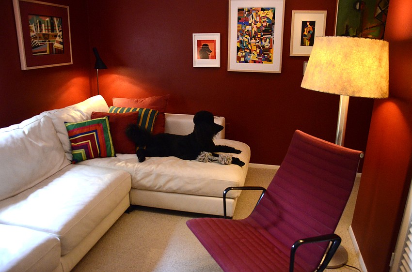 Hervieux’s TV room is cosy with a warm red hue coloring the walls. His poodle, Liebchen, finds her favorite spot on the white couch.