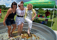 Monica Welde, Heather "Lucy" McFall and Tonie Waters dance on grapes.