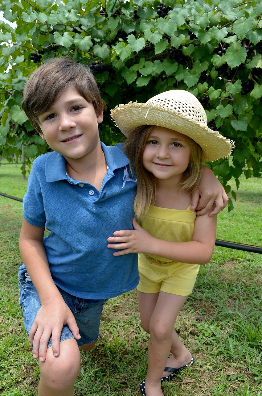 Myles and Delicia Stoltzfus check out the grapes planted throughout the vineyard.